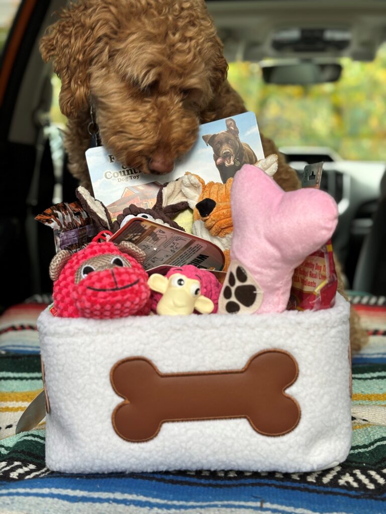 Raffle basket with doggie goodies